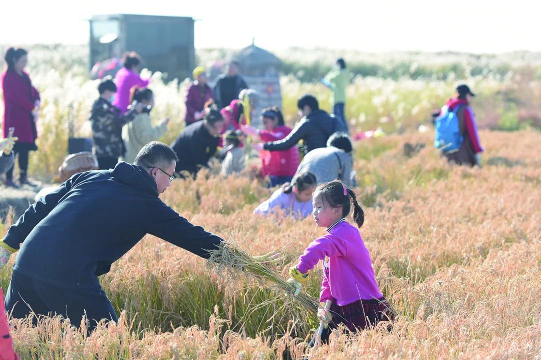 盘锦新闻资讯必看,2020年9月25日盘锦新闻视频