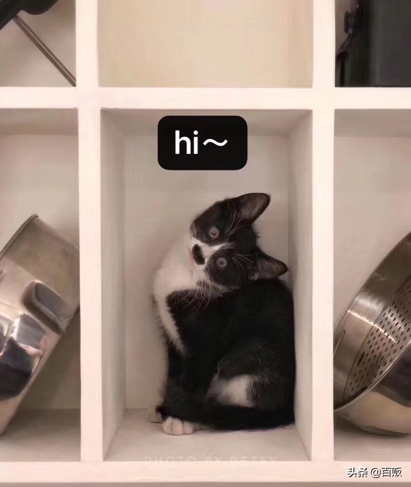 打造森系花房,闹市中的私家庭院花房