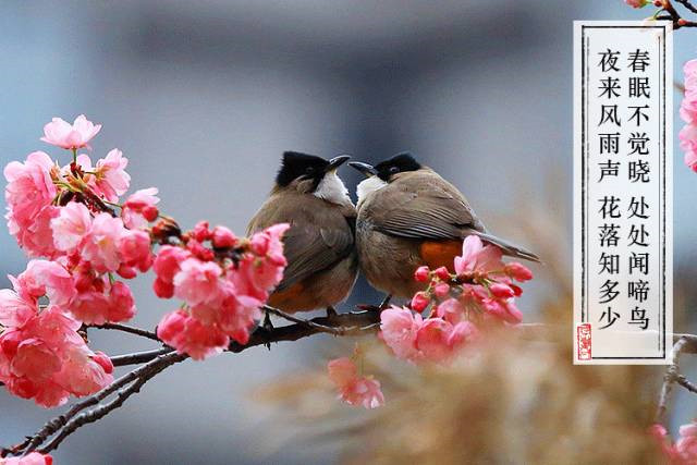 对仗手法口诀大全,对仗的技巧和方法