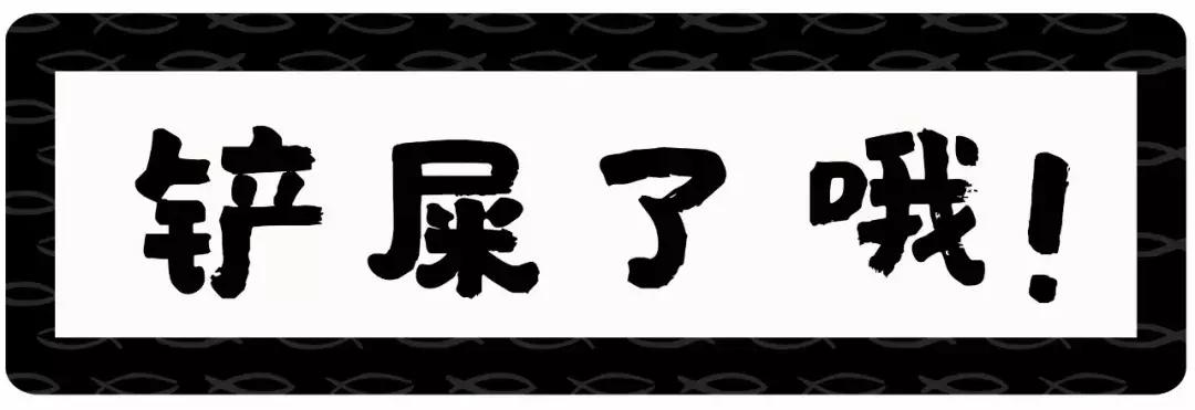 猫屎太臭事件,猫屎的来历