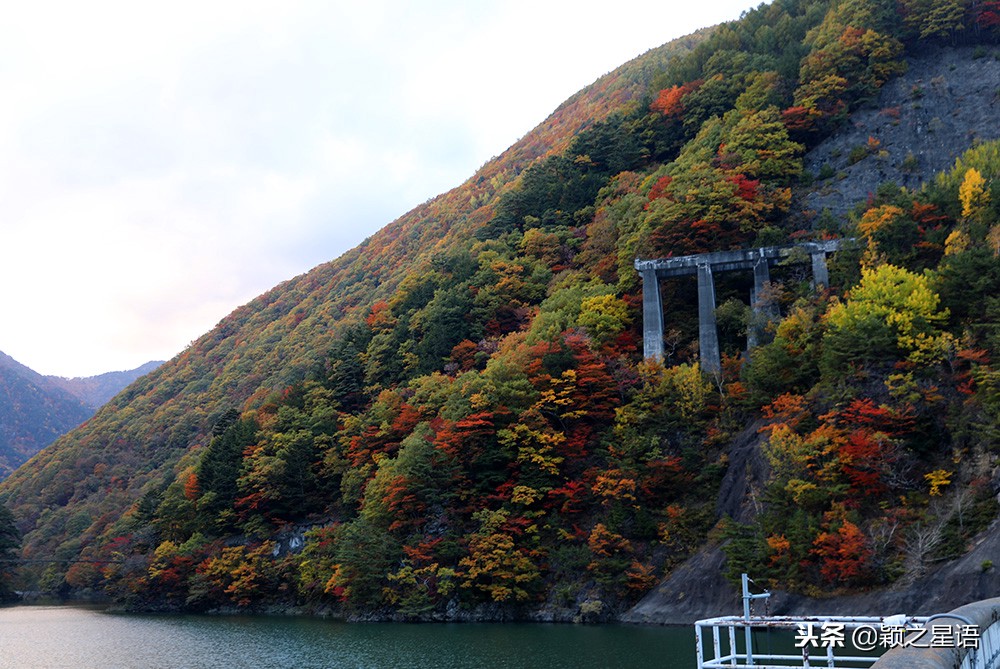 几千块的日本电饭煲,国产锅日本锅