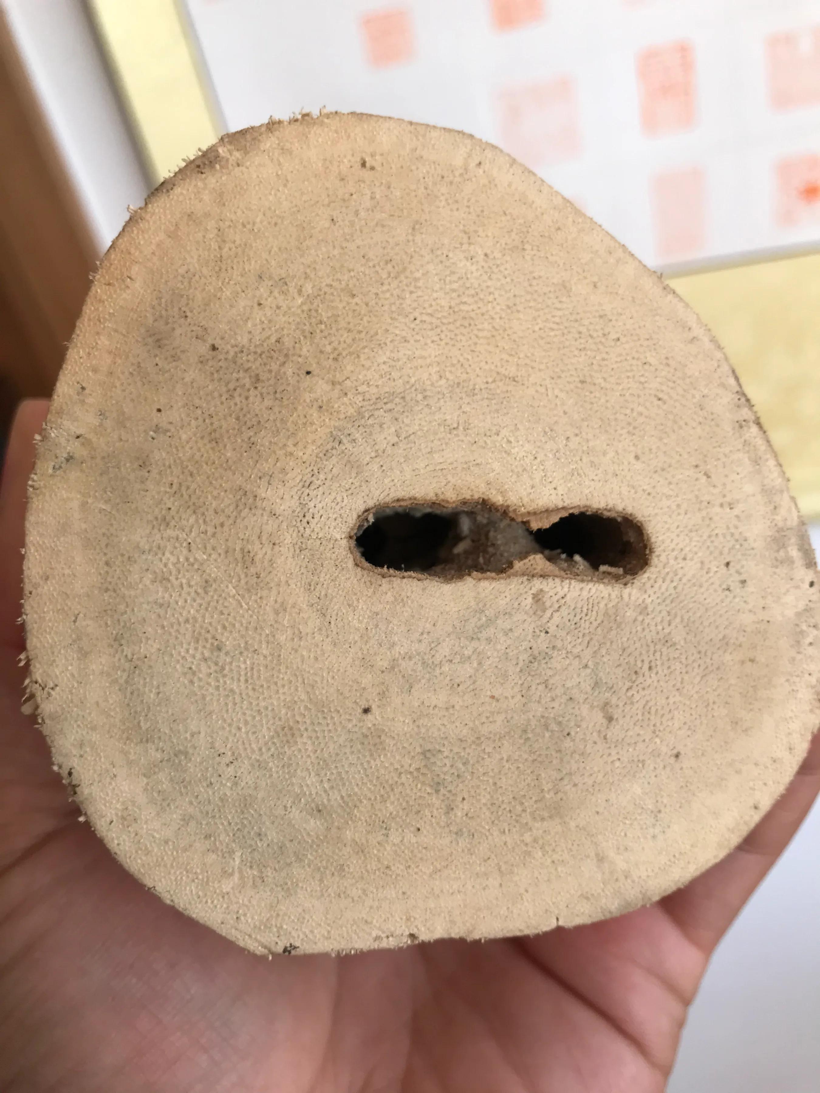 一颗珠子教你认识沉香,一颗珠子演绎音乐