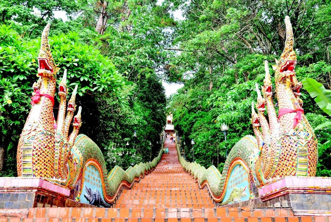 泰国从小就要去寺庙,泰国5泰铢硬币版别