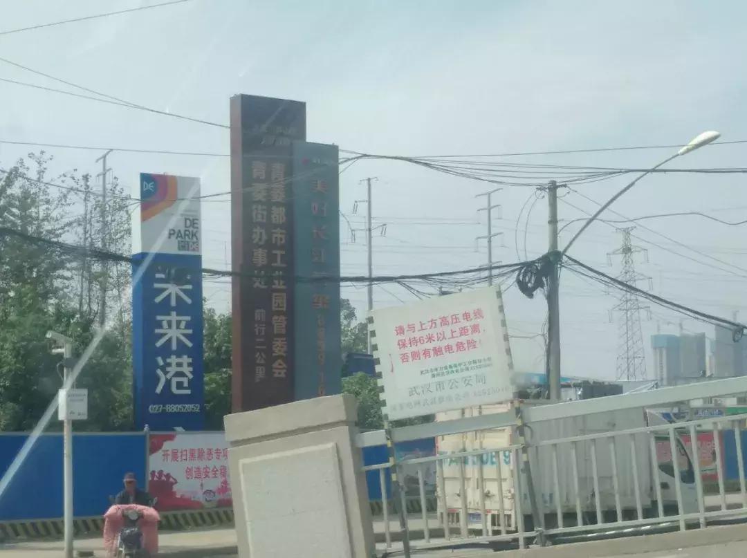 白沙洲告别篇:留汉大学生“首站”青菱新区