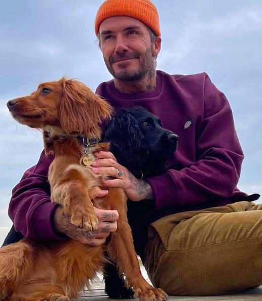 贝克汉姆发福照片,贝克汉姆47岁生日图片