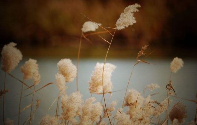 描述初冬的优美诗词,深秋初冬唯美诗句