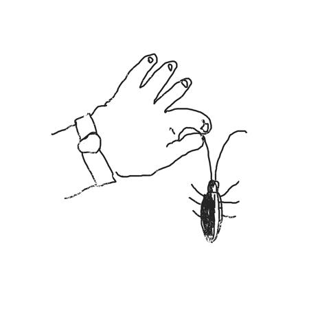 拜耳拜灭士杀蟑胶饵灭蟑螂,灭蟑螂的最好方法最有效