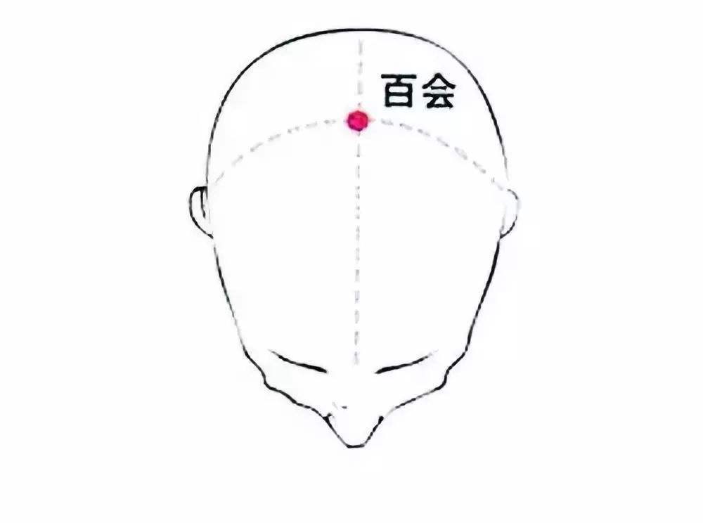 低血压感觉头晕怎么办,低血压头晕乏力西医用什么药