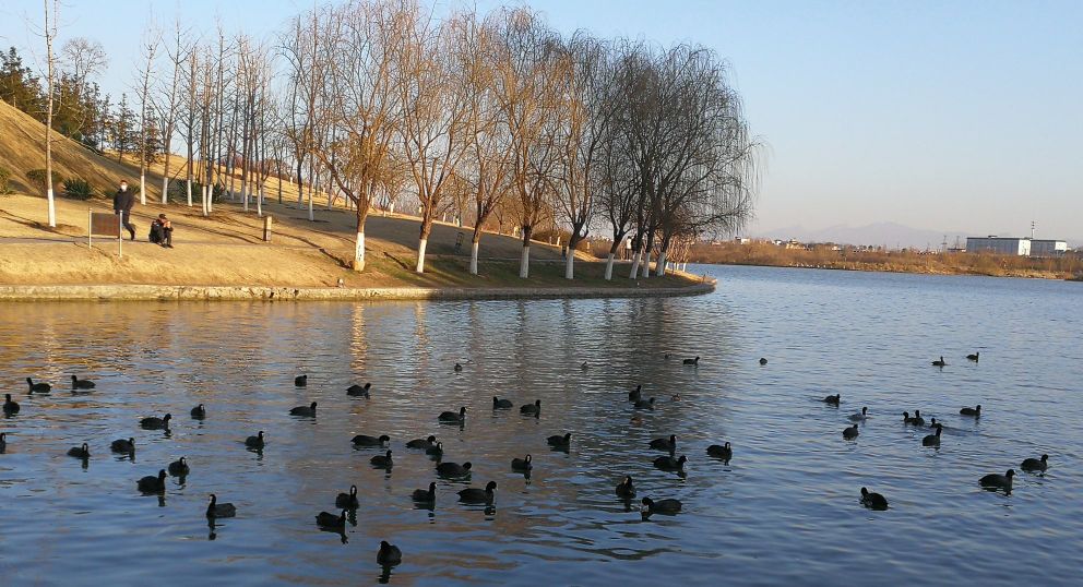 怎样练习节奏跑或配速跑,节奏跑的正确训练方法