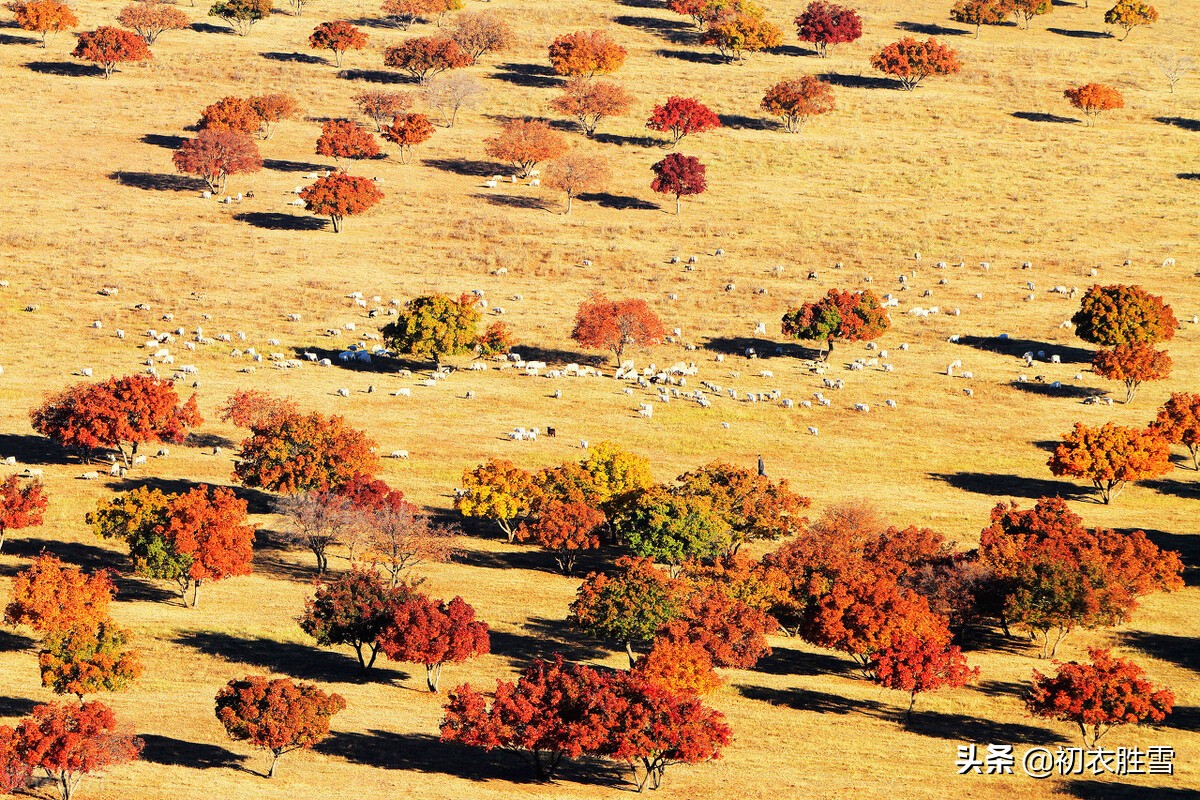 纳兰性德三首海棠词,纳兰性德最豁达潇洒的诗