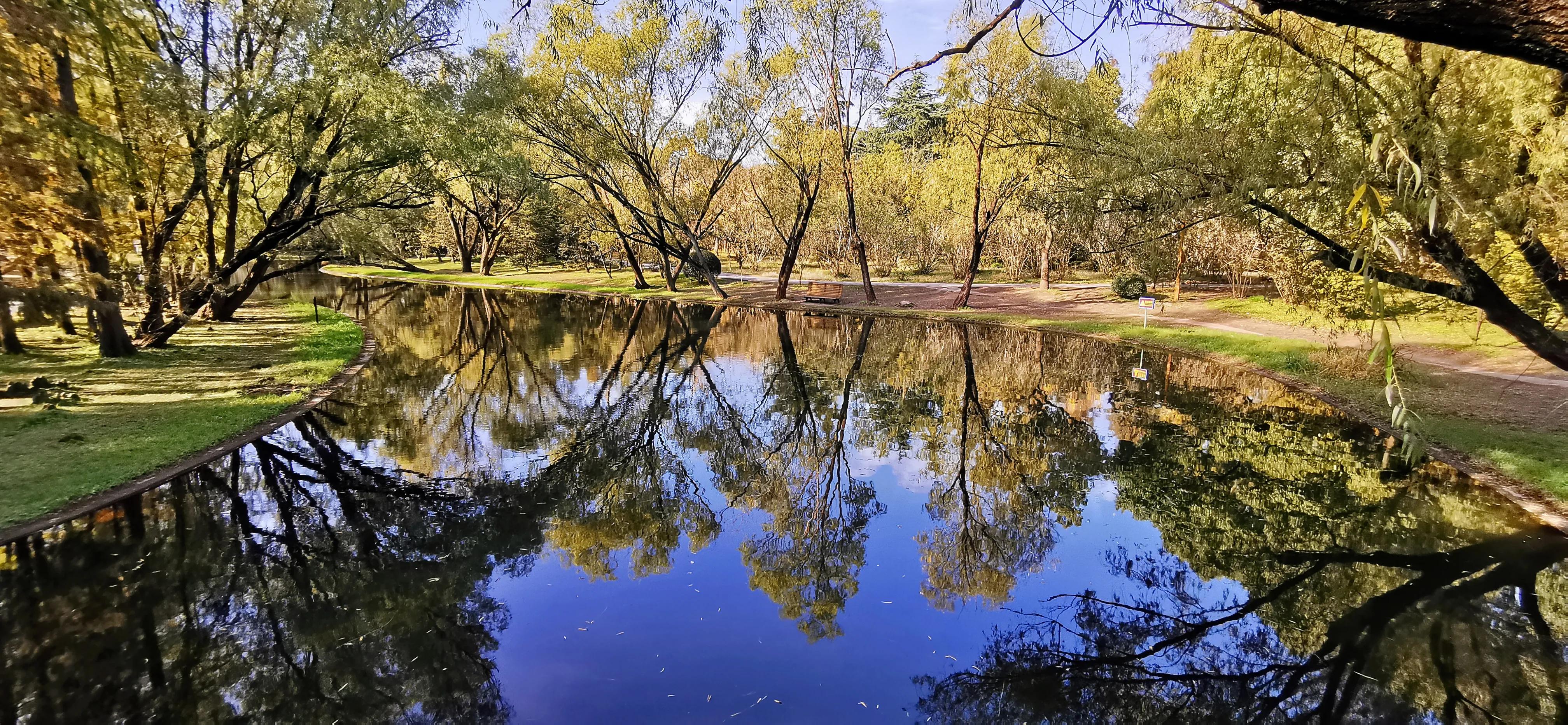 上海共青森林秋景,上海共青森林公园夜景