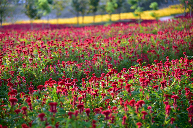 花都美林湖景区,广州花都美林湖攻略