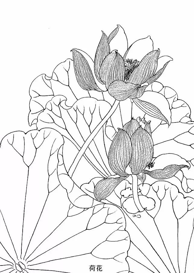 手绘画素材书,100张手绘素材图片