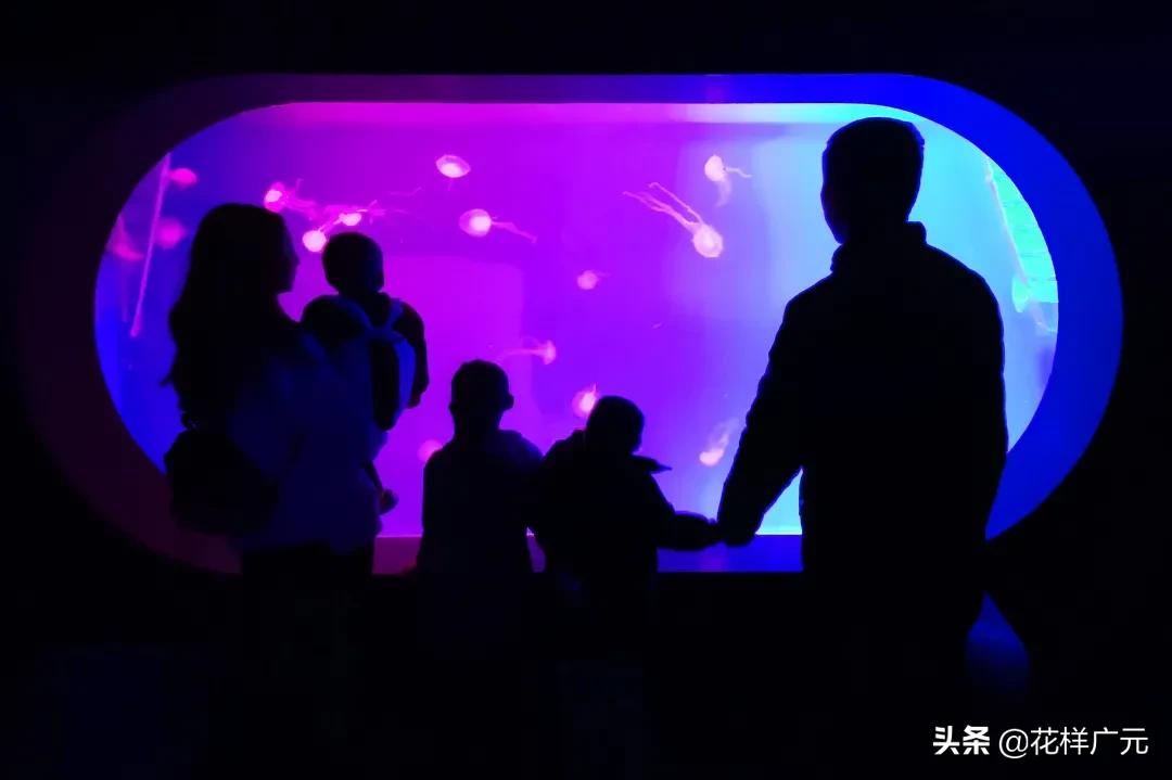 广元卡尔海洋世界,广元市卡尔海洋世界怎么去