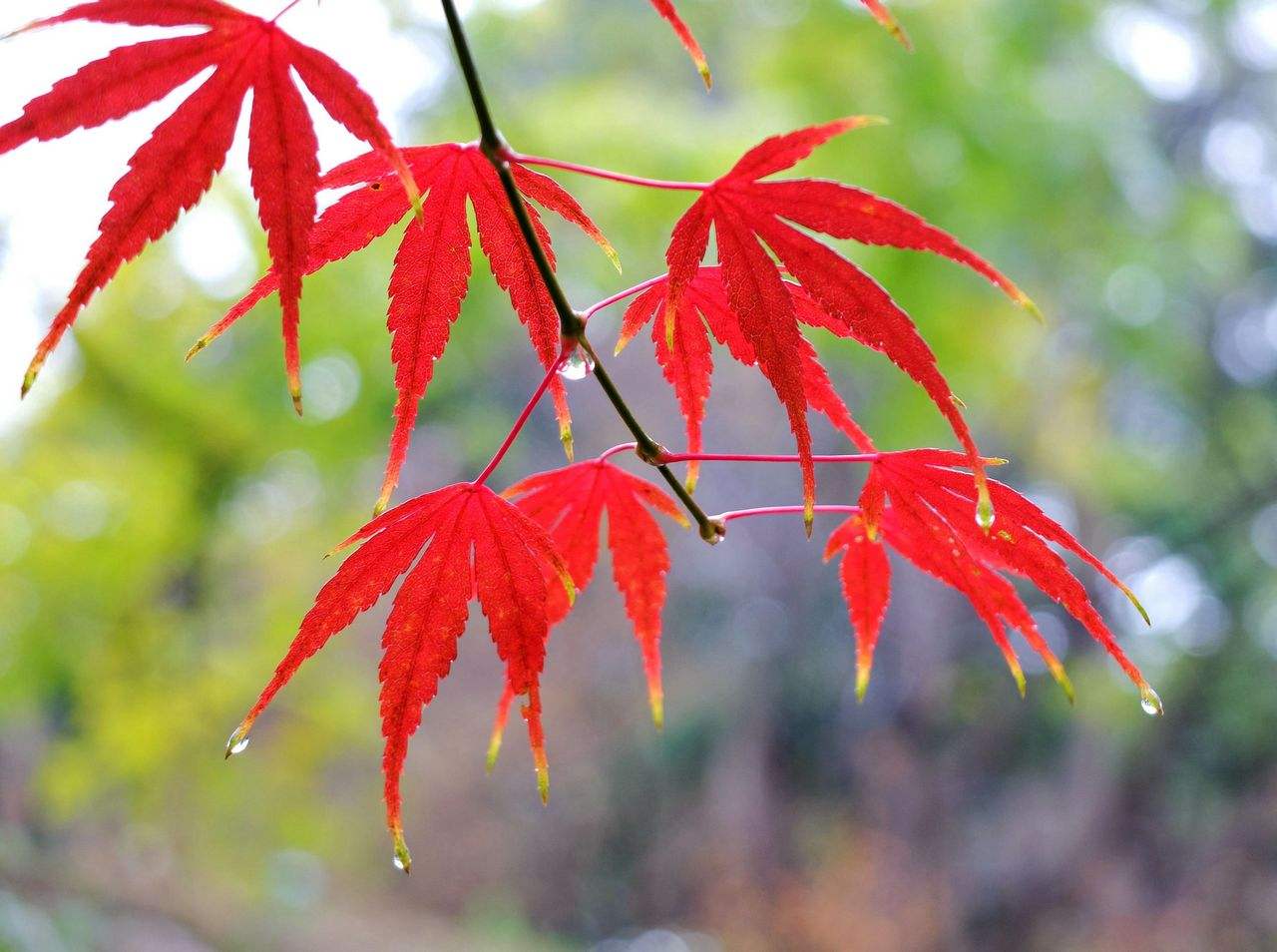 写作文记流水账怎么教,写作文怎么才能不记流水账