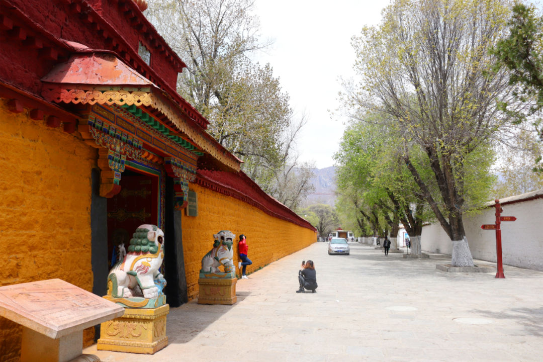 拍拉萨全景哪里最好,拉萨最适合拍照的地方