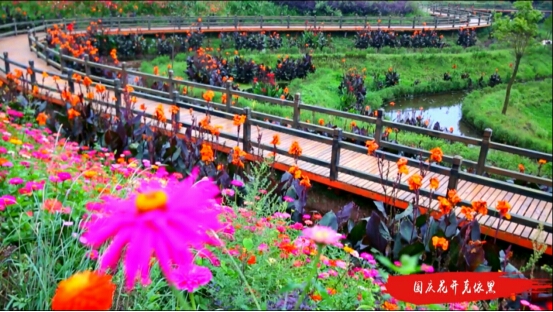 鍏嬩緷榛戠伀鎶婅妭绡濈伀鏅氫細,鍏嬩緷榛戠伀鎶婅妭鐜板満鐩存挱