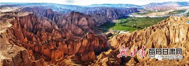 花村顾家善最新视频,花村顾家善小镇