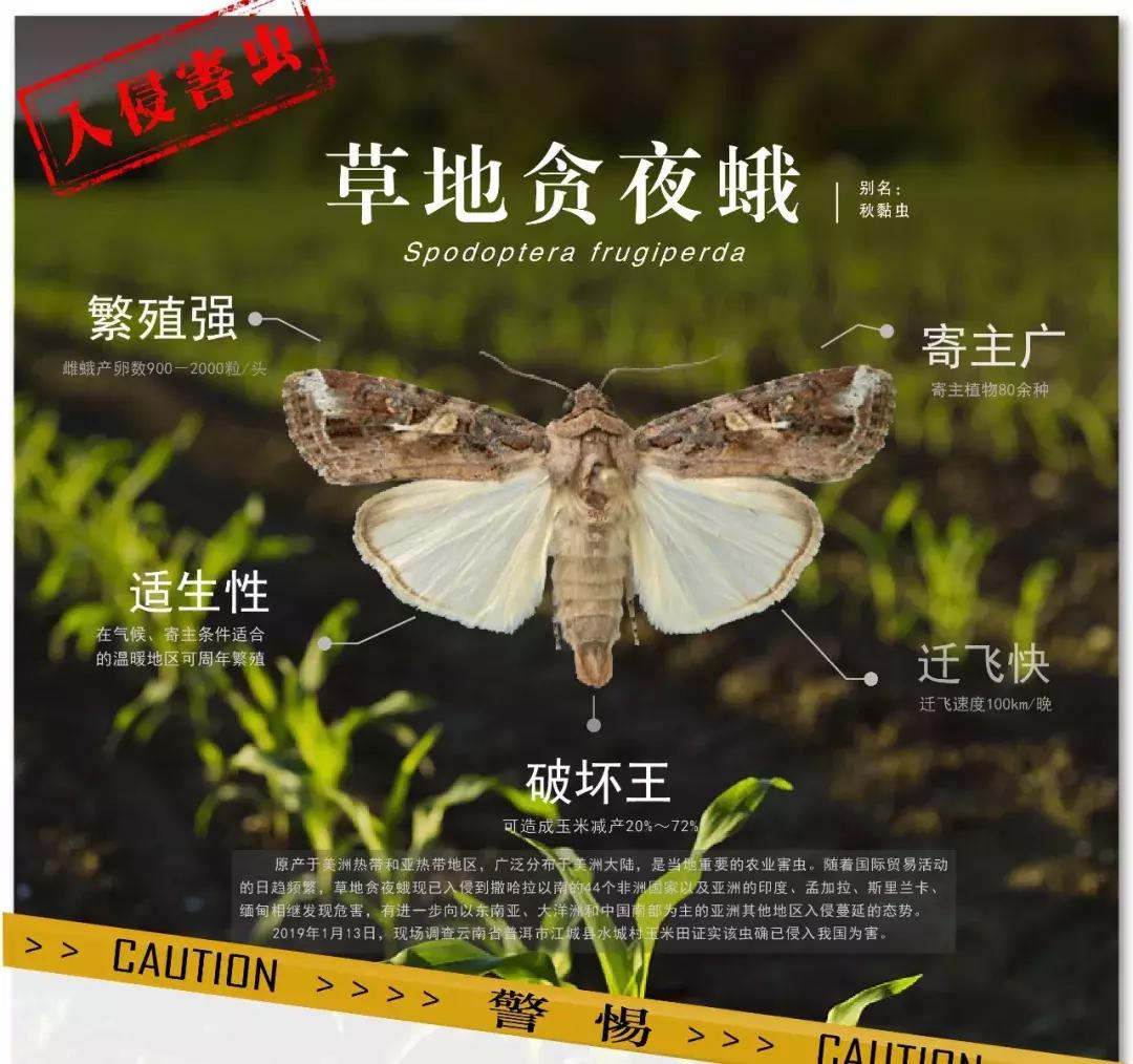 农业防治害虫的方法有哪些,农业对害虫的防治方法