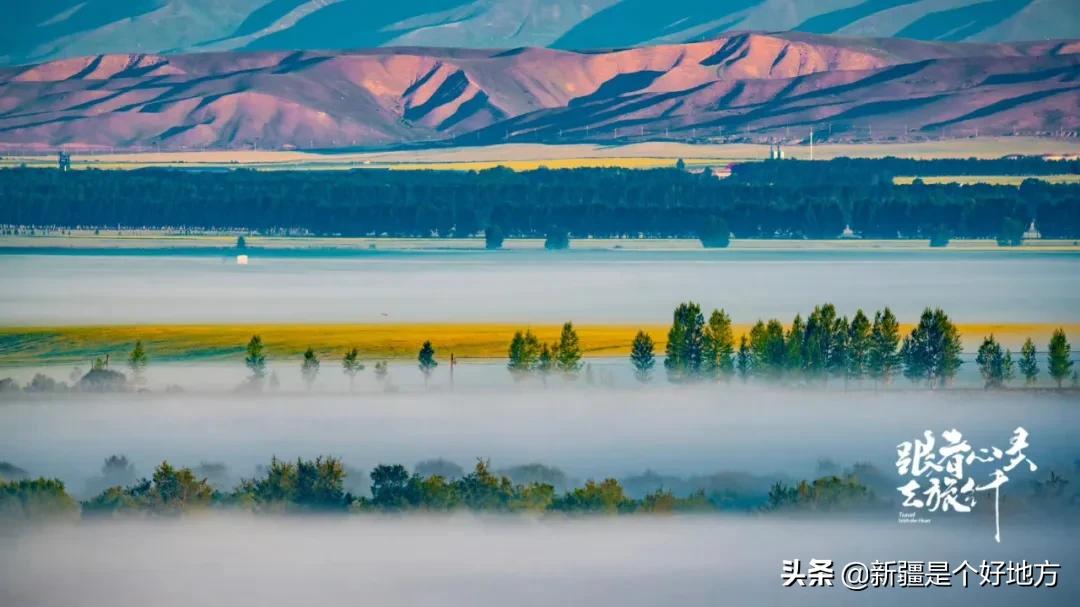百名达人晒家乡|万摄师：遇见世界的美好