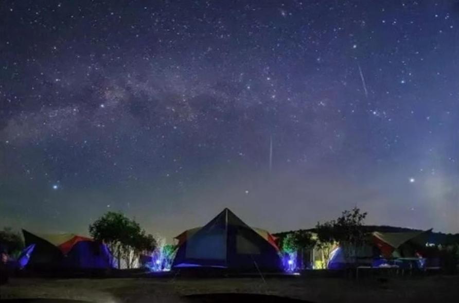 广东看樱花旅游景点推荐,广东樱花打卡景点