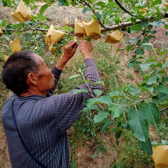 老张头退休生活,老张头和赵铁匠