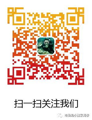 海参怎样吃才能发挥其最大化作用,海参的皮有营养还是筋有营养