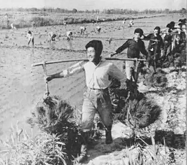 重庆29岁小伙娶53岁老妻,19岁女知青下乡嫁给农村小伙子