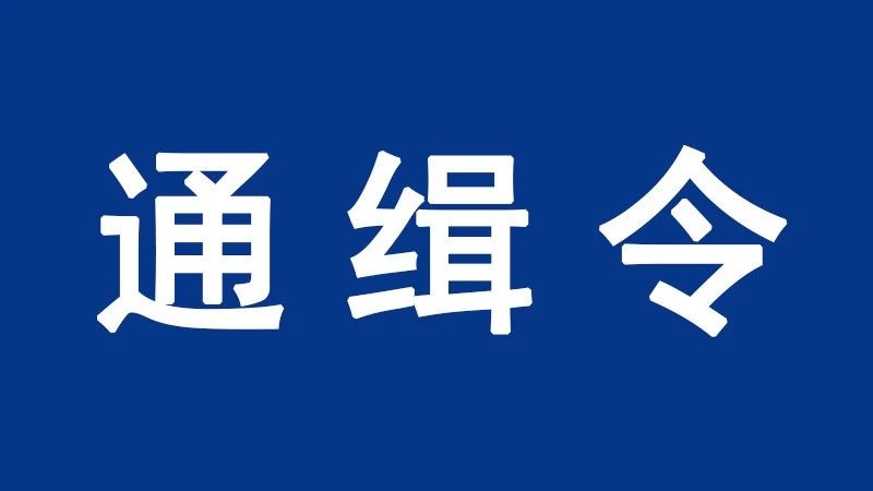 公安部a级通缉令几人落网,公安部发a级通缉令名单通讯录