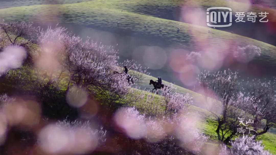 我国旅游日,中国旅游日5.19意义