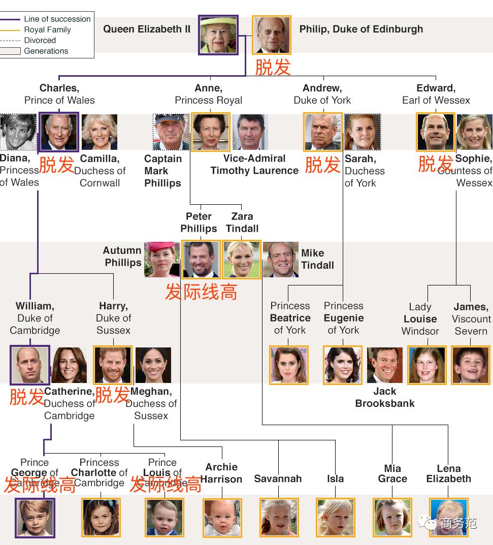 贝克汉姆脱发最新消息,大卫贝克汉姆脱发