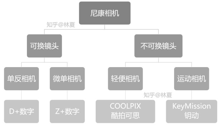 尼康单反相机怎么看型号,从零开始认识相机类型