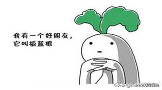 家庭常备实用实惠药,家庭常备中草药有哪些