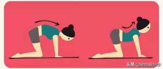 怎样有助于盆底肌修复 (多年盆底肌怎样才能修复)