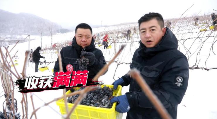 东北人才懂,东北人才懂的味道