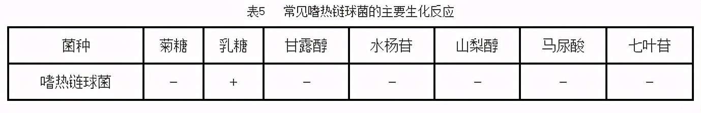 鉴定乳酸菌的常用的培养基是什么,乳酸菌微生物检测
