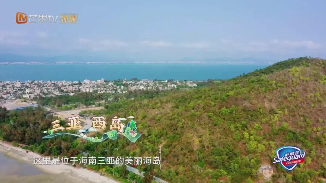 《哈哈农夫》西岛站:王源、杨超越、贾乃亮、金瀚说出明星的烦恼