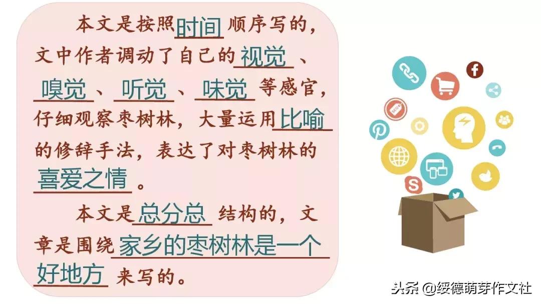 三年级上册语文这儿真美作文200字,三年级上册语文习作这儿真美