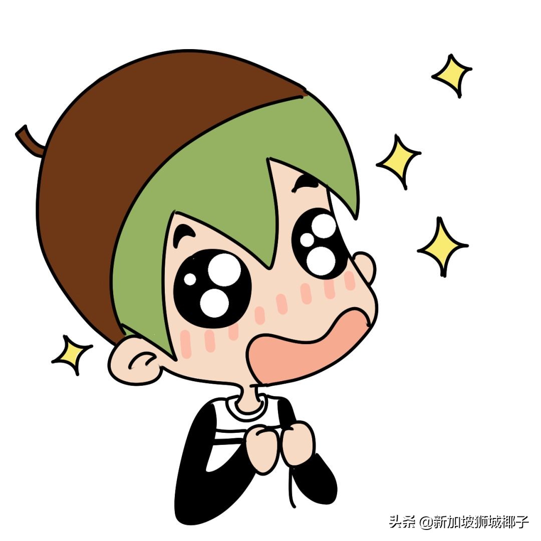 国内都有哪些新加坡品牌,新加坡最出名品牌