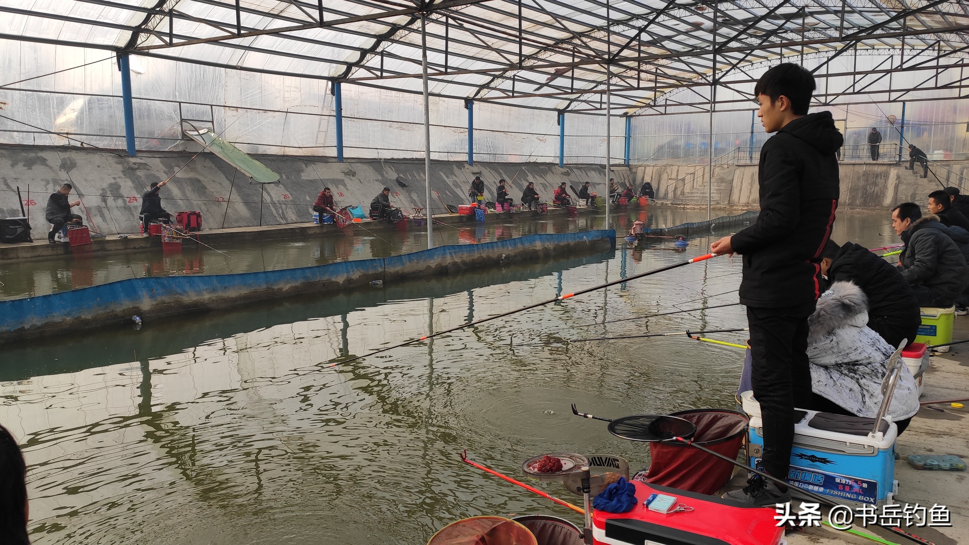 黑坑的鱼都怎么处理,黑坑鱼病防治