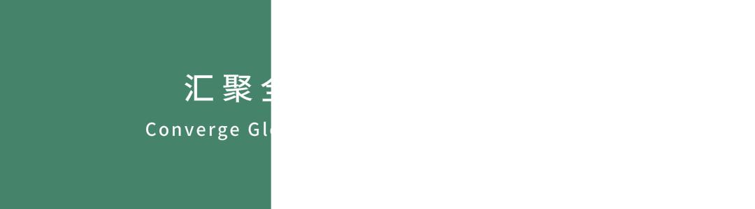 德国脊柱医生,德国脊柱大师