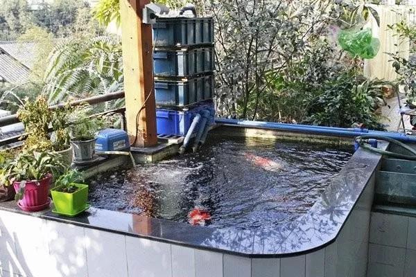 商铺顶露台怎么搭建不违法,顶楼露台改造鱼池