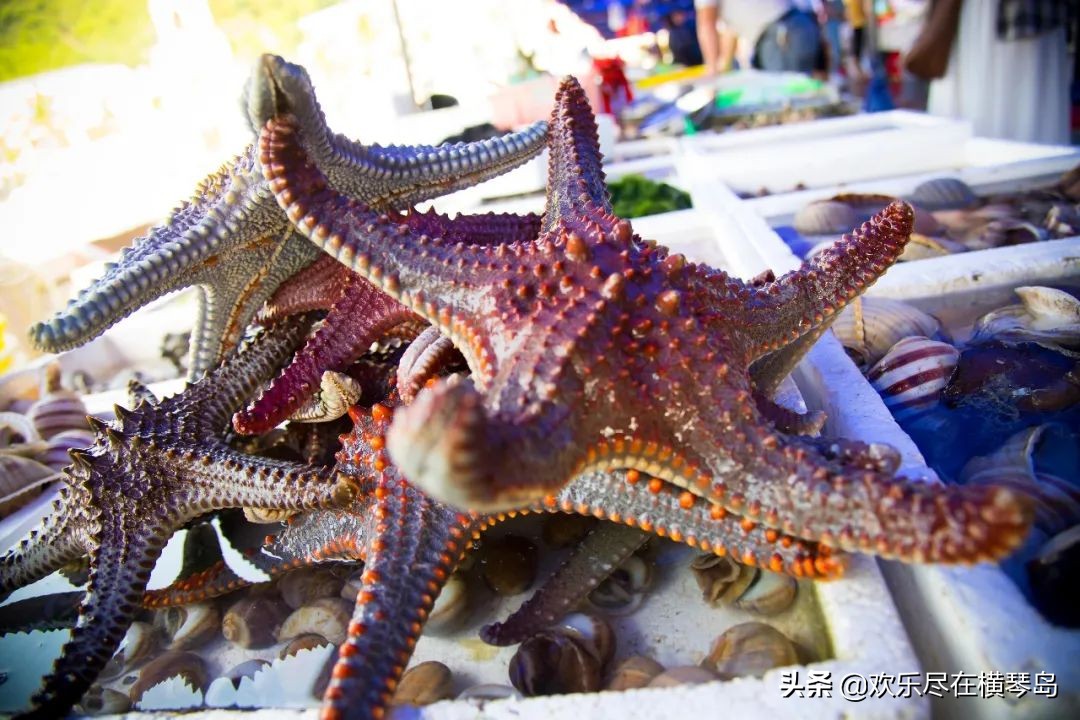 外伶仃岛旅游攻略能否开车,外伶仃岛旅游攻略日出