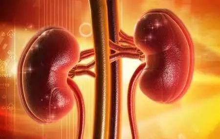 人剩下几个器官能存活,人体少了什么器官不会死