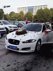 搞笑gif这又是什么新套路,搞笑gif这就有点过分了