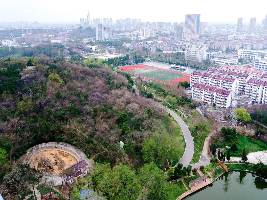 大厂真实生活现状,在大厂呆了3年的人