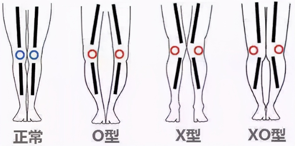 跟马拉松有关的冷知识,这些马拉松冷知识你知道吗