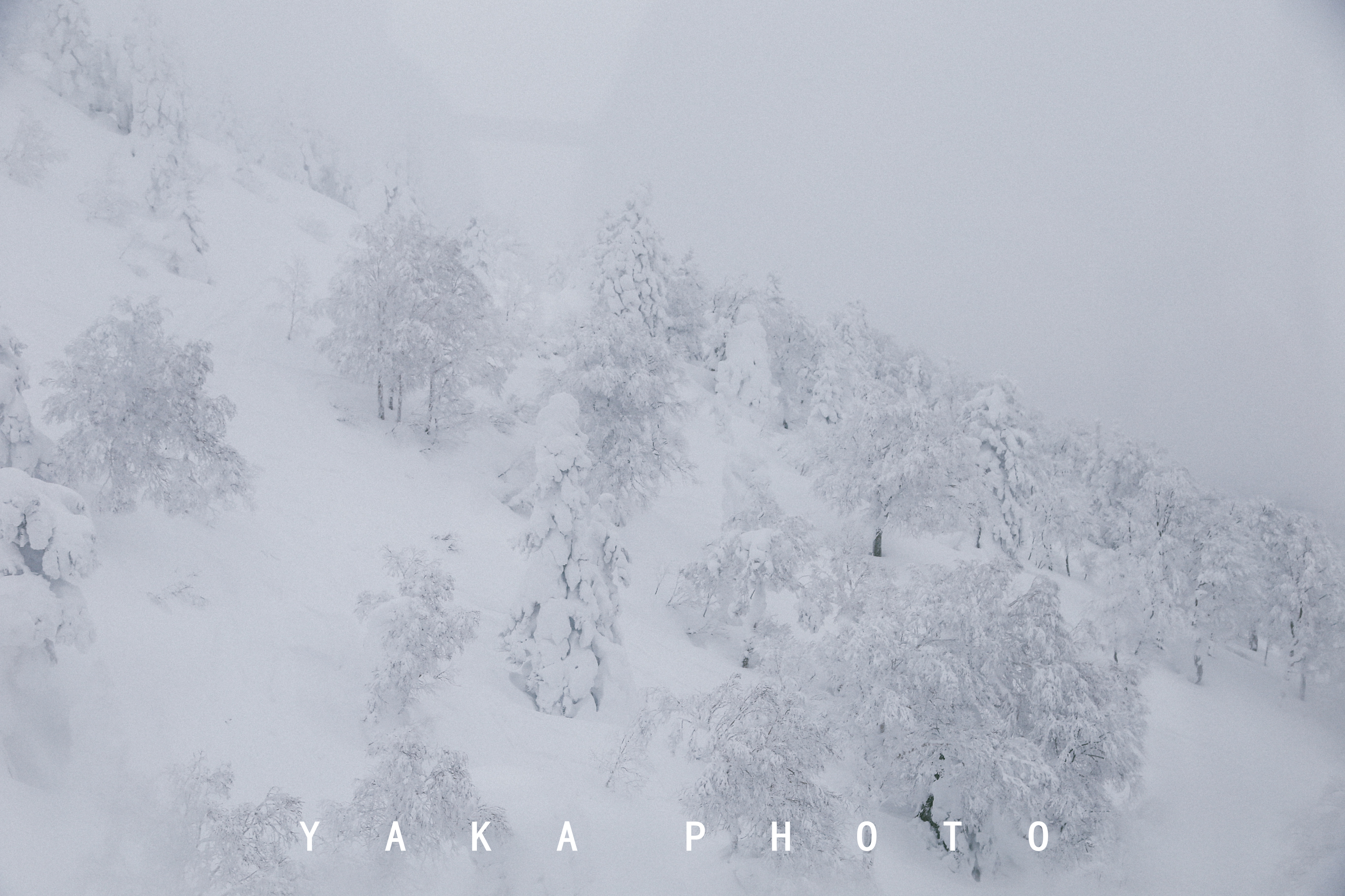 日本青森睡魔祭举办时间,日本的青森值得去么