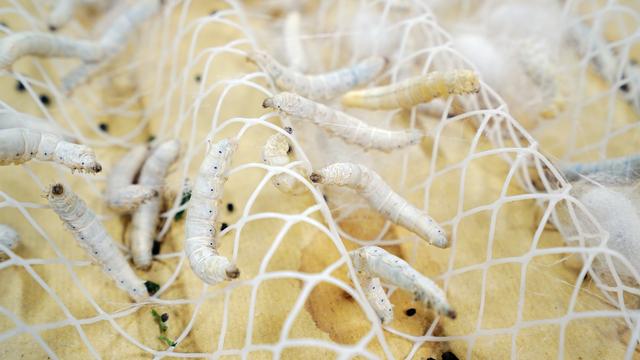 中国最低调小城市,中国最低调小镇