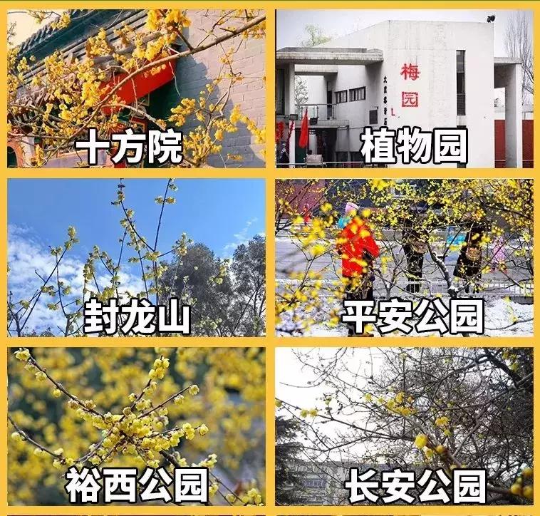 石家庄附近古镇旅游景点大全介绍,石家庄周边寺庙一日游的绝佳去处